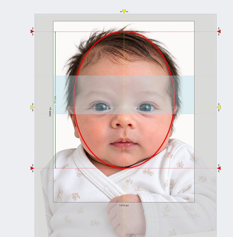 Zuschnitt eines Säuglingsfotos in der Passbild-Software mit Gesichtsoval, Augenzone, Scheitel- und Kinnlinie und 34 mm Kopfhöhe